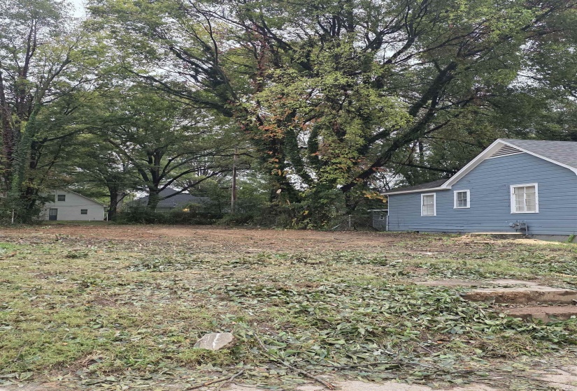View of yard with view of scattered trees
