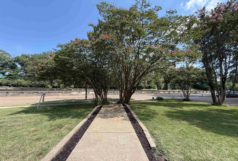 1465 PARKWAY ST, Memphis, Tennessee 38112, 4 Bedroom Bedrooms, 12 Room Rooms,4.1 BathroomBathrooms,Residential,For Sale,PARKWAY,0,10219209