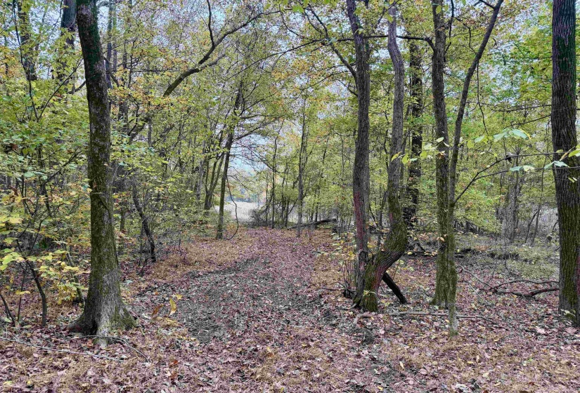 WILLIAM SWITCH RD, Henning, Tennessee 38041, ,Land,For Sale,WILLIAM SWITCH,10219272