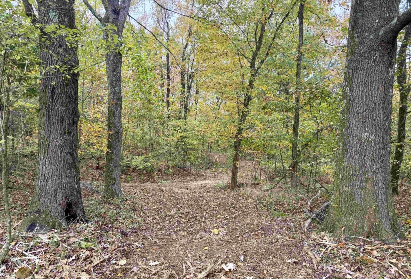 WILLIAM SWITCH RD, Henning, Tennessee 38041, ,Land,For Sale,WILLIAM SWITCH,10219272