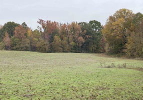 WILLIAM SWITCH RD, Henning, Tennessee 38041, ,Land,For Sale,WILLIAM SWITCH,10219272