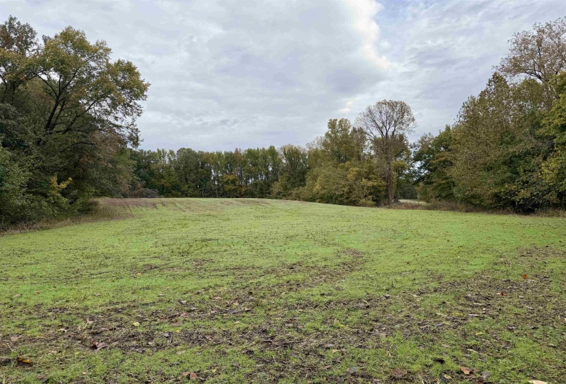 WILLIAM SWITCH RD, Henning, Tennessee 38041, ,Land,For Sale,WILLIAM SWITCH,10219272