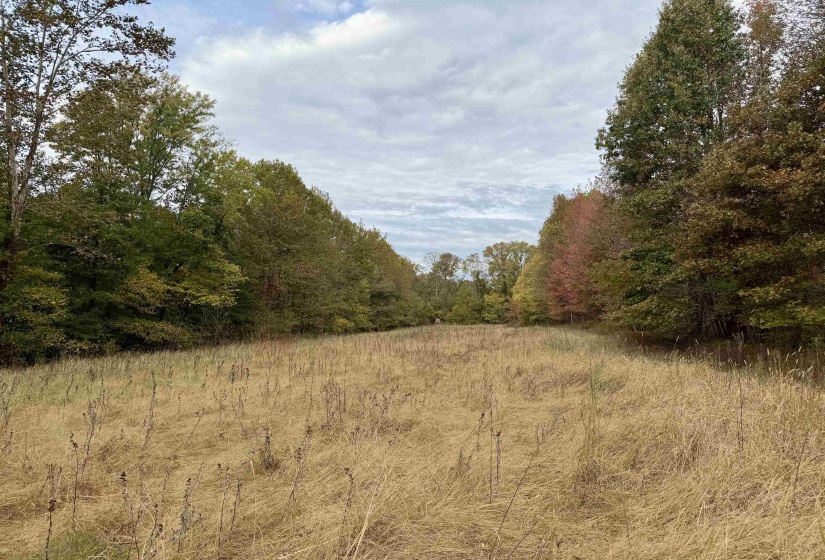 WILLIAM SWITCH RD, Henning, Tennessee 38041, ,Land,For Sale,WILLIAM SWITCH,10219272