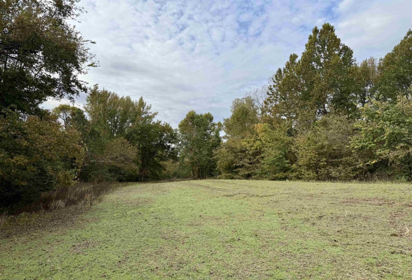 WILLIAM SWITCH RD, Henning, Tennessee 38041, ,Land,For Sale,WILLIAM SWITCH,10219272