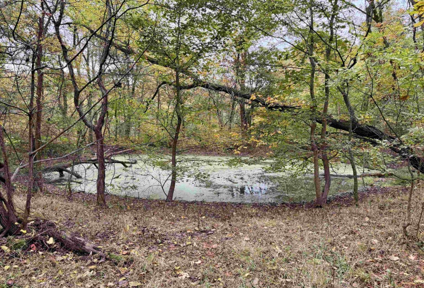 WILLIAM SWITCH RD, Henning, Tennessee 38041, ,Land,For Sale,WILLIAM SWITCH,10219272