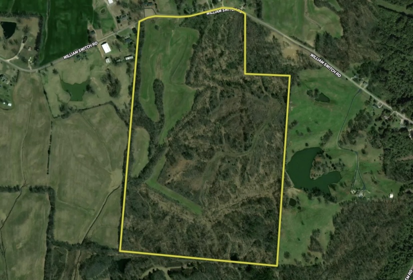 WILLIAM SWITCH RD, Henning, Tennessee 38041, ,Land,For Sale,WILLIAM SWITCH,10219272