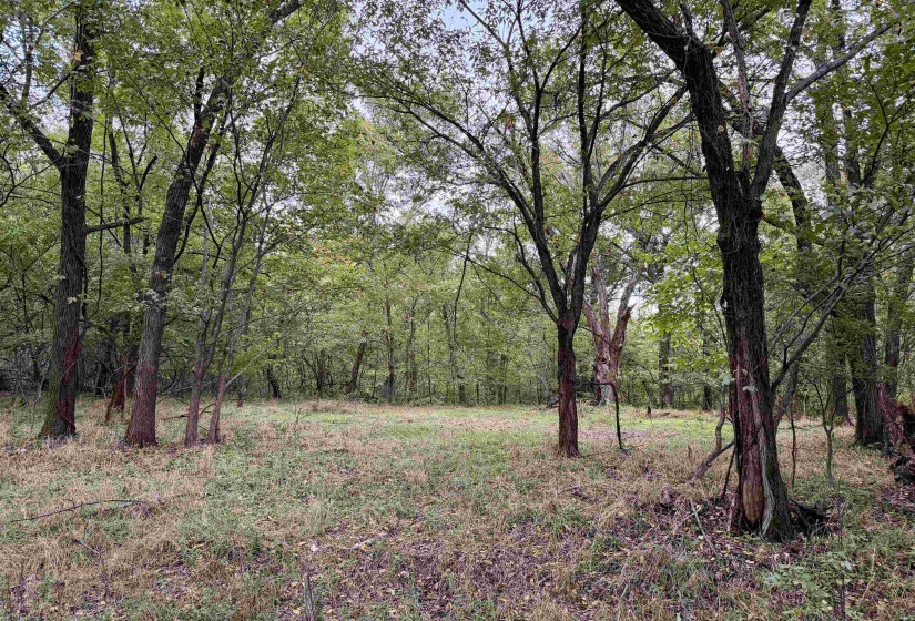 WILLIAM SWITCH RD, Henning, Tennessee 38041, ,Land,For Sale,WILLIAM SWITCH,10219272