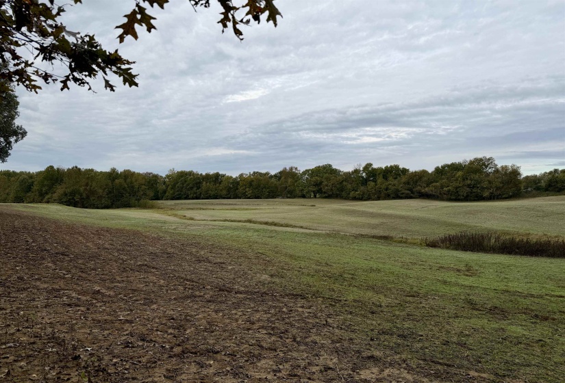 WILLIAM SWITCH RD, Henning, Tennessee 38041, ,Land,For Sale,WILLIAM SWITCH,10219272