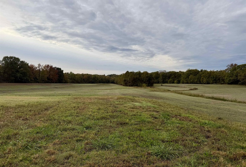 WILLIAM SWITCH RD, Henning, Tennessee 38041, ,Land,For Sale,WILLIAM SWITCH,10219272