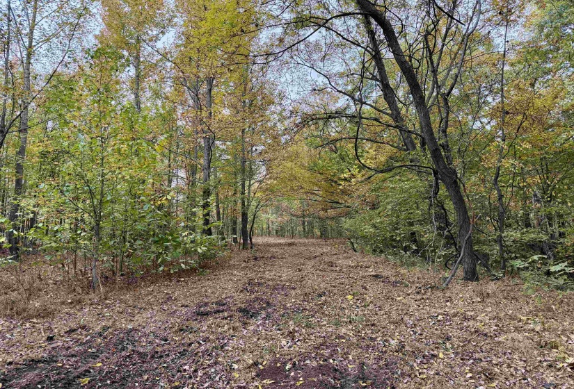 WILLIAM SWITCH RD, Henning, Tennessee 38041, ,Land,For Sale,WILLIAM SWITCH,10219272