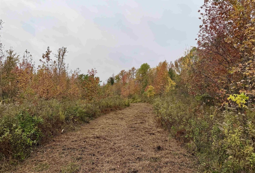 WILLIAM SWITCH RD, Henning, Tennessee 38041, ,Land,For Sale,WILLIAM SWITCH,10219272