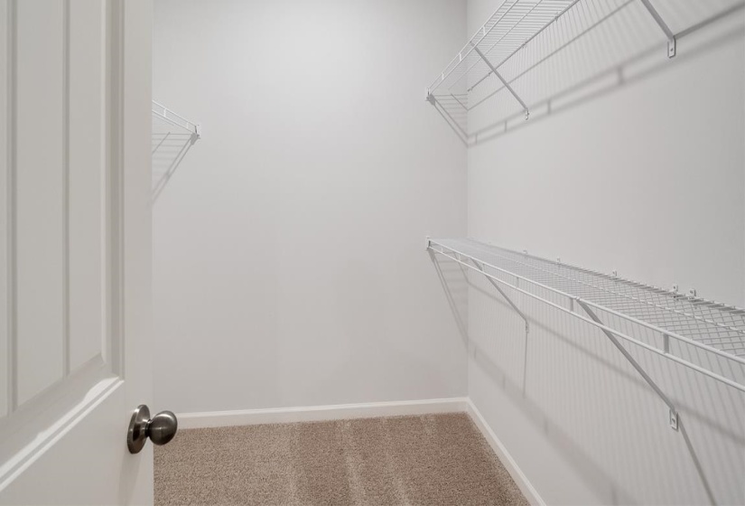 Spacious closet featuring carpet