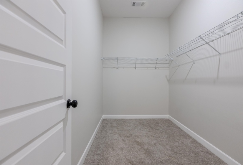 Spacious closet with light colored carpet