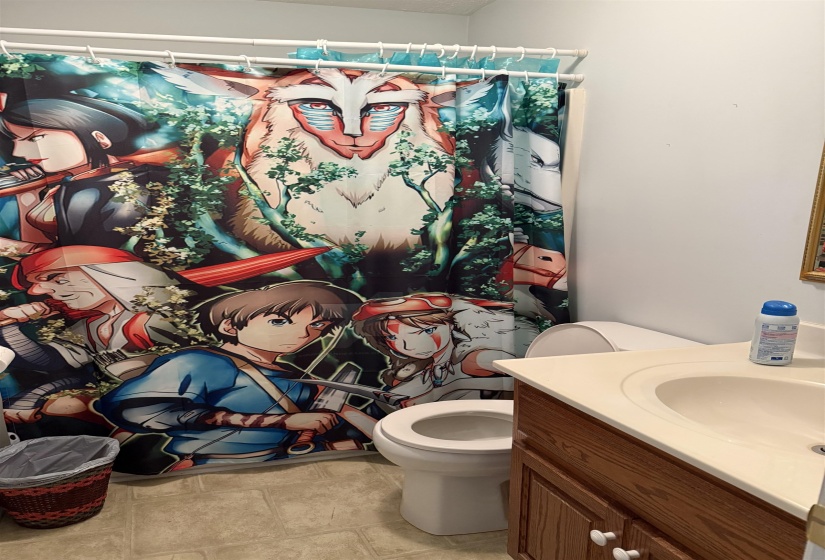 Bathroom with vanity and a shower with curtain