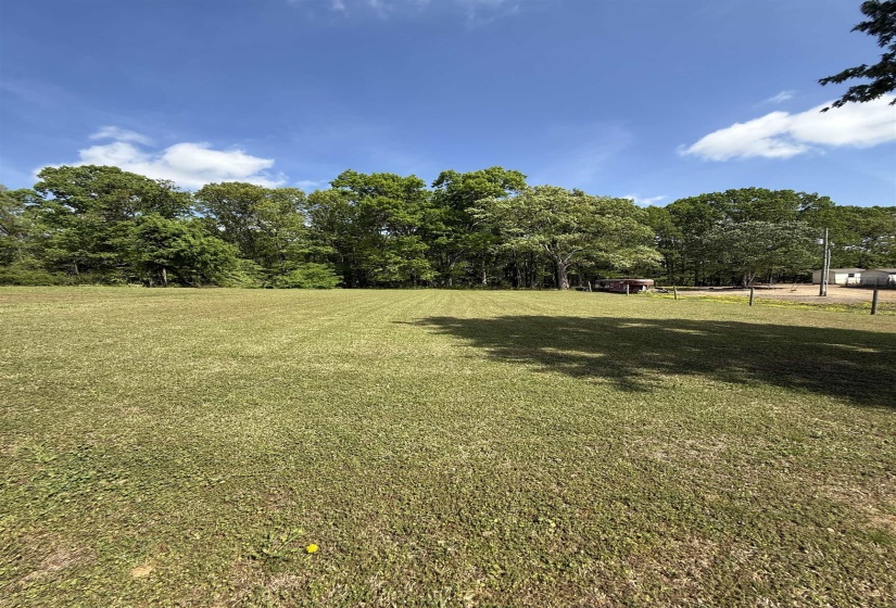 View of grassy yard