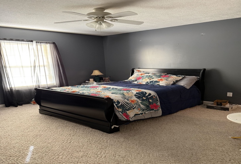 Bedroom featuring a ceiling fan, a textured ceiling, and carpet floors