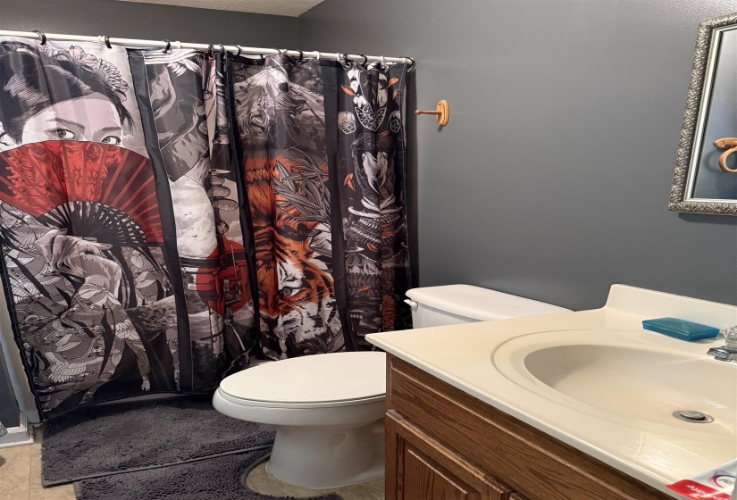 Bathroom with vanity and a shower with shower curtain