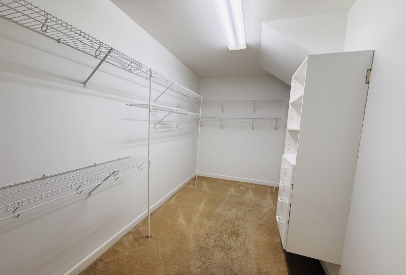 Walk in closet with light carpet