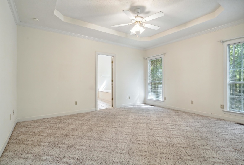 Carpeted empty room featuring a raised ceiling, ceiling fan, and ornamental molding