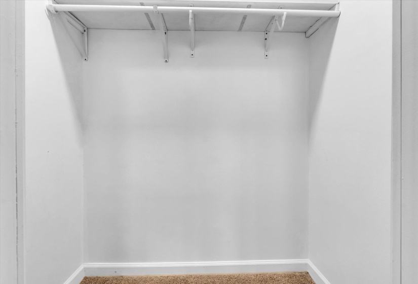 Walk in closet with carpet floors