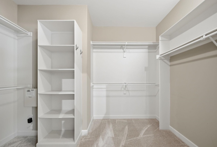 Walk in closet with light colored carpet