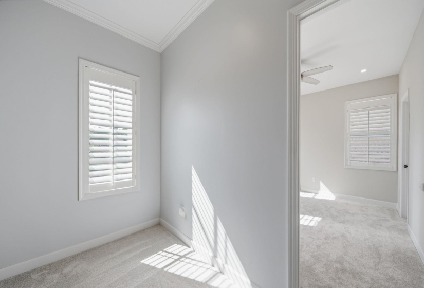 Unfurnished room with light colored carpet, healthy amount of natural light, ornamental molding, and a ceiling fan