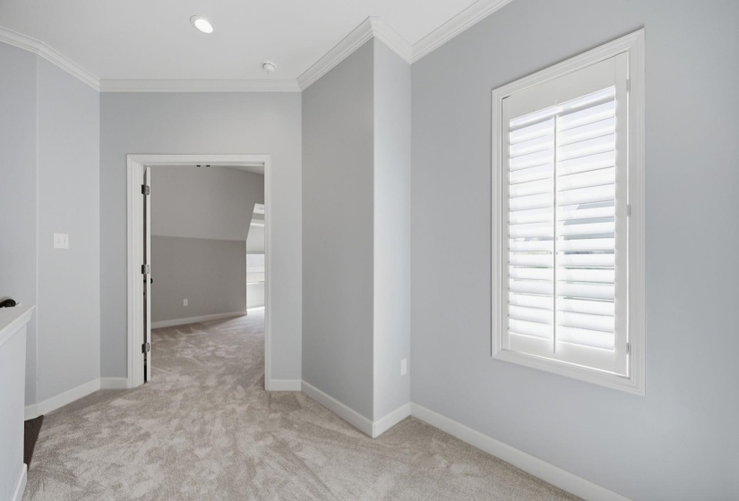 Unfurnished room with light colored carpet and crown molding