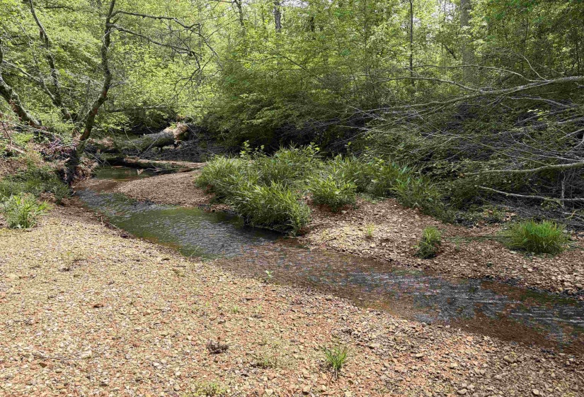 0 FOSTER RD, Adamsville, Tennessee 38310, ,Land,For Sale,FOSTER,10219479