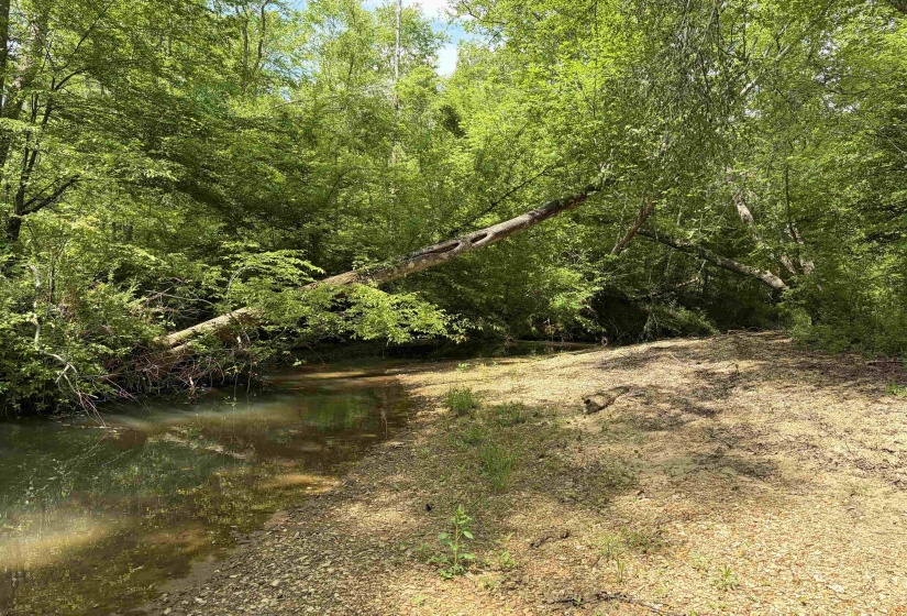 0 FOSTER RD, Adamsville, Tennessee 38310, ,Land,For Sale,FOSTER,10219479