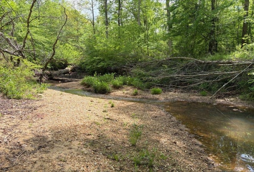 0 FOSTER RD, Adamsville, Tennessee 38310, ,Land,For Sale,FOSTER,10219479