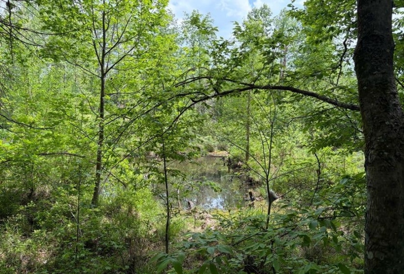 0 FOSTER RD, Adamsville, Tennessee 38310, ,Land,For Sale,FOSTER,10219479