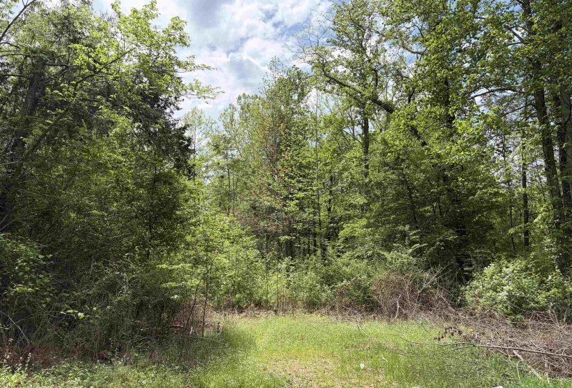 0 FOSTER RD, Adamsville, Tennessee 38310, ,Land,For Sale,FOSTER,10219479