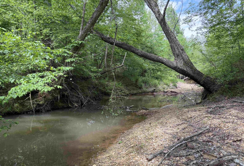 0 FOSTER RD, Adamsville, Tennessee 38310, ,Land,For Sale,FOSTER,10219479