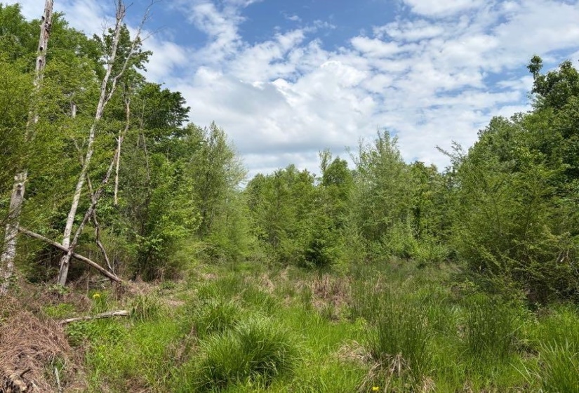 0 FOSTER RD, Adamsville, Tennessee 38310, ,Land,For Sale,FOSTER,10219479