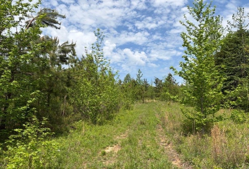 0 FOSTER RD, Adamsville, Tennessee 38310, ,Land,For Sale,FOSTER,10219479