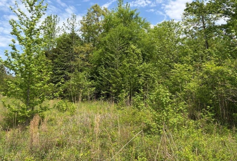 0 FOSTER RD, Adamsville, Tennessee 38310, ,Land,For Sale,FOSTER,10219479