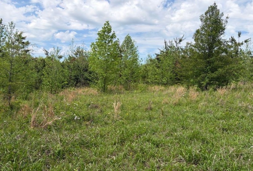 0 FOSTER RD, Adamsville, Tennessee 38310, ,Land,For Sale,FOSTER,10219479