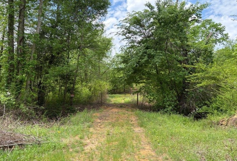 0 FOSTER RD, Adamsville, Tennessee 38310, ,Land,For Sale,FOSTER,10219479