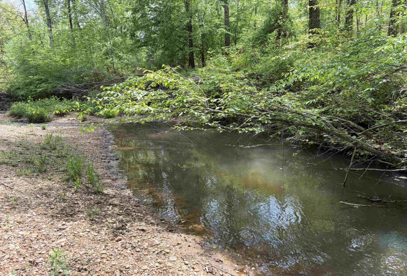 0 FOSTER RD, Adamsville, Tennessee 38310, ,Land,For Sale,FOSTER,10219479