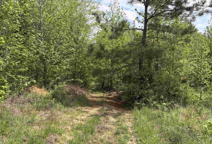 0 FOSTER RD, Adamsville, Tennessee 38310, ,Land,For Sale,FOSTER,10219479