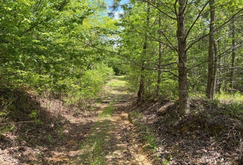 0 FOSTER RD, Adamsville, Tennessee 38310, ,Land,For Sale,FOSTER,10219479