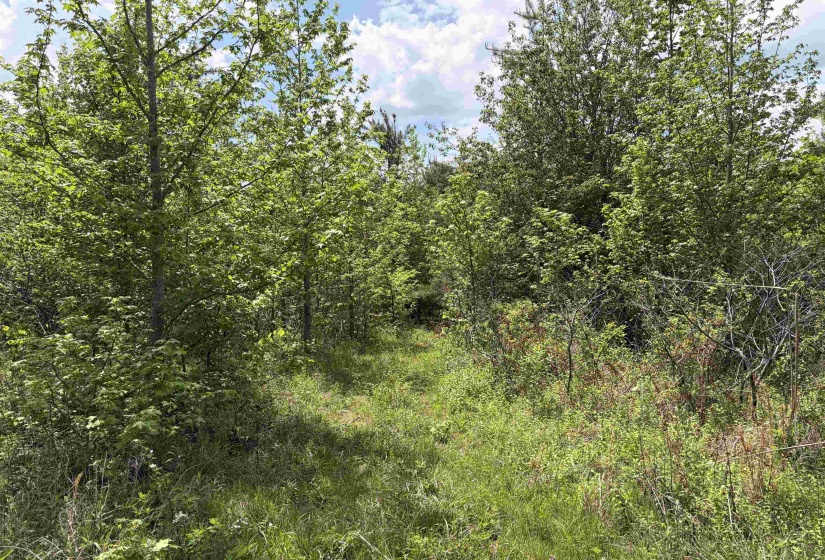 0 FOSTER RD, Adamsville, Tennessee 38310, ,Land,For Sale,FOSTER,10219479