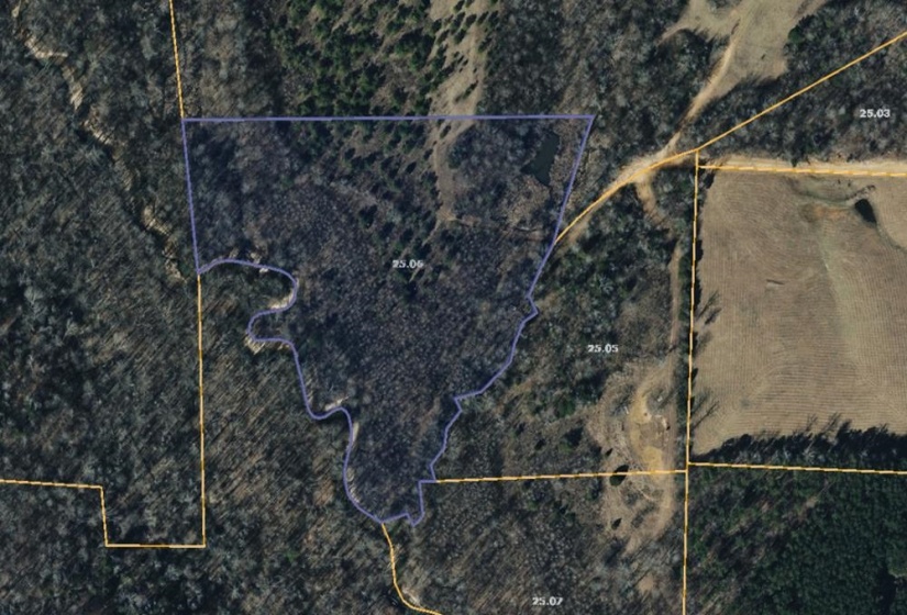 0 FOSTER RD, Adamsville, Tennessee 38310, ,Land,For Sale,FOSTER,10219479