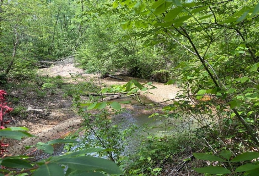 0 FOSTER RD, Adamsville, Tennessee 38310, ,Land,For Sale,FOSTER,10219479