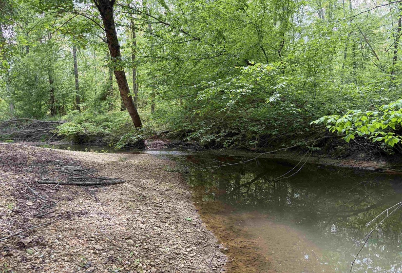 0 FOSTER RD, Adamsville, Tennessee 38310, ,Land,For Sale,FOSTER,10219479