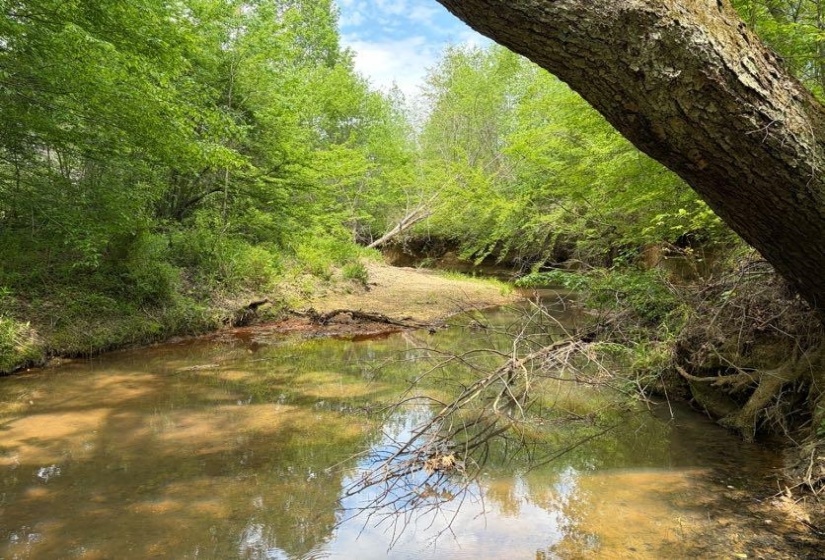 0 FOSTER RD, Adamsville, Tennessee 38310, ,Land,For Sale,FOSTER,10219479