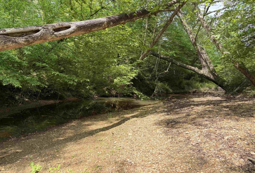 0 FOSTER RD, Adamsville, Tennessee 38310, ,Land,For Sale,FOSTER,10219479