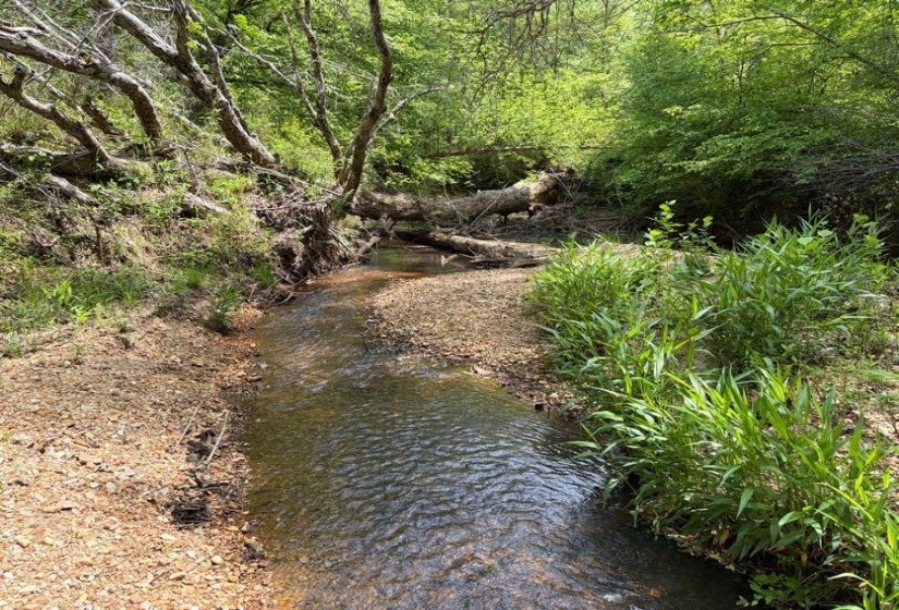 0 FOSTER RD, Adamsville, Tennessee 38310, ,Land,For Sale,FOSTER,10219479