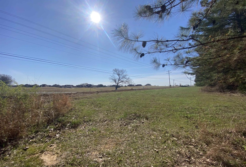 24.17 AC 194 HWY, Oakland, Tennessee 38060, ,Land,For Sale,194,10219501