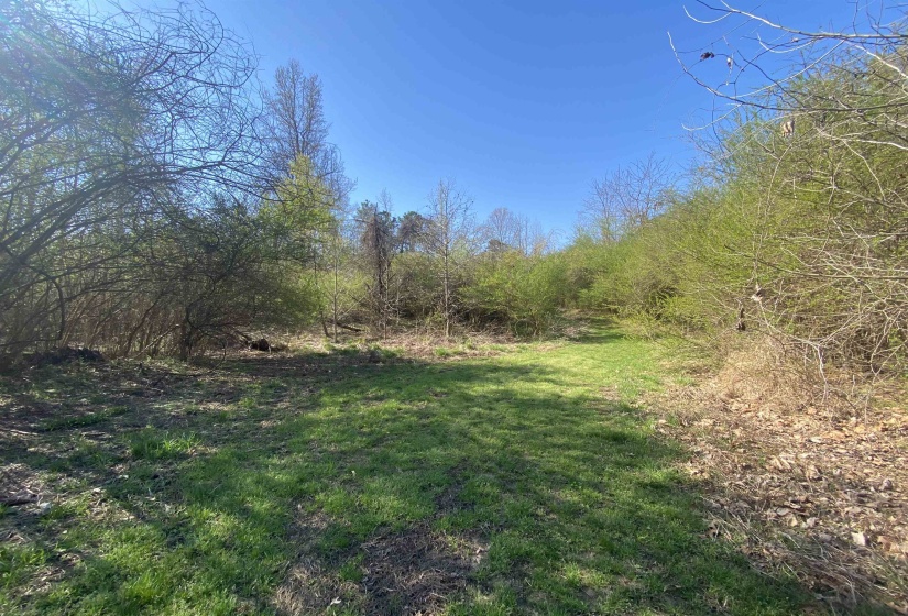 24.17 AC 194 HWY, Oakland, Tennessee 38060, ,Land,For Sale,194,10219501